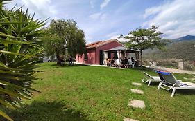 B&B Al N.9